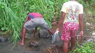 CATCHING CRAYFISH [upl. by Marline]