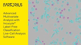 Incucyte® Webinar Preview Advanced LabelFree Classification of Cell Morphology [upl. by Sommers]