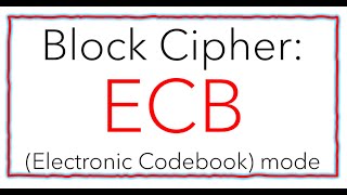 4a Electronic Codebook ECB Solved Example StepbyStep [upl. by Diantha]