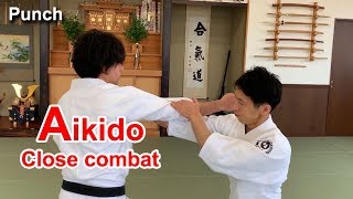 Aikido Special techniques  Close combat SHIRAKAWA RYUJI shihan [upl. by Arednaxela]