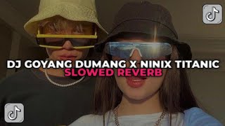 DJ GOYANG DUMANG X NINIX TITANIC  DJ MELODY GOYANG DUMANG YANG KALIAN CARI CARI [upl. by Nymzaj347]