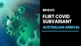 New FLiRT family of COVID subvariants arrives in Australia  ABC News [upl. by Guenevere819]