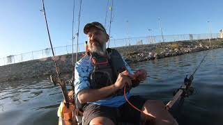 2024 Fin Addicts Kayak Tourney [upl. by Weirick]