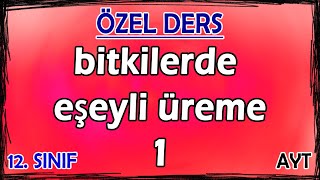 25 Bitkilerde Eşeyli Üreme 1  Özel Ders 12 Sınıf [upl. by Nywde]