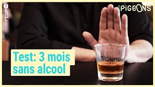 3 mois sans alcool  quel impact sur la santé   On nest pas des Pigeons [upl. by Llig]