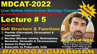 Lecture 5 MDCAT 2022 Biology Preparation Series Cell Structure amp Function Part5 PMC  NUMS [upl. by Nnaeerb]