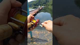 lake fishing ポッパー その1 [upl. by Nesyaj510]