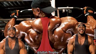 Quick Best Back Exercises [upl. by Wendin]