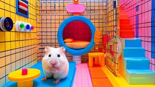 Explore the Epic Journey of Hamster Escaping DIY Maze 🐹 Hamster Maze [upl. by Nanerb]