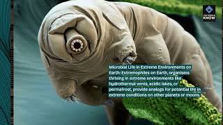 Top 10 Biological Evidence for Alien Life [upl. by Llertnad]