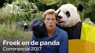 Freek Vonk en de panda  Reaal commercial 2017 [upl. by Alaham]