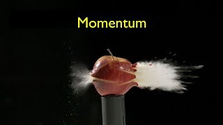 What Is Momentum [upl. by Yasnyl]