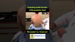 MS062 Evaluating tactile fremitus of the posterior chest [upl. by Audi868]