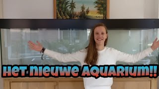 MIJN NIEUWE 2m AQUARIUM  update aquaria Nickey [upl. by Adnovahs]