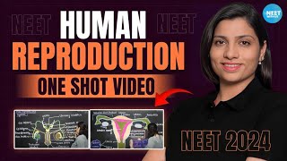 Human Reproduction Class 12 One Shot  All Theory Tricks amp PYQs  NEET 2024 Biology  Ritu Rattewal [upl. by Nitsirt]