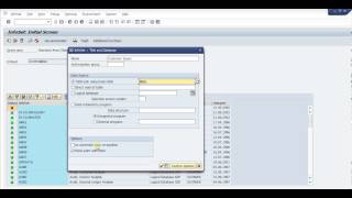 SAP Query Basic [upl. by Joelly]