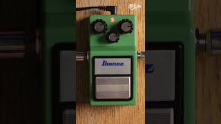 Ibanez TS9 Tube Screamer [upl. by Nnylecoj]