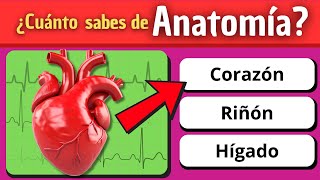 ¿Puedes GANAR este DESAFÍO de Anatomía  Test rápido  🤓🤯 [upl. by Axel278]