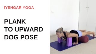 Plank pose Chaturanga Dandasana to upward facing dog pose Urdhva Mukha Svanasana  Iyengar Yoga [upl. by Anar83]