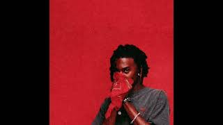 Whole Lotta Red  Playboi Carti WLR V1 [upl. by Olva]