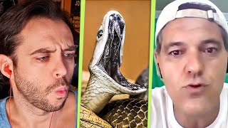 ESTA ES LA SERPIENTE MÁS VENENOSA DEL MUNDO  Frank Cuesta con Jordi Wild [upl. by Lorne]