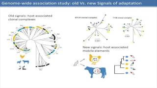 CLIMB Launch Sam Sheppard GWAS Religion or a Promising New Approach [upl. by Atworth]