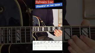 Bireli lagrène and Sylvain Luc Duet  Lalbum qui ma fait aimer la guitare jazz [upl. by Doll]