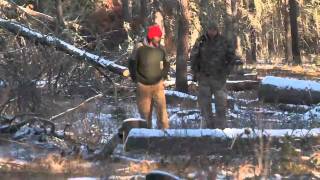 Trophy Quest Hunts Whitetail in Saskatchewan Canada With Iron Sight 3030 [upl. by Nnyleak]