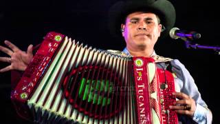 Los Tucanes De Tijuana Mix Corridos En Vivo [upl. by Easter869]