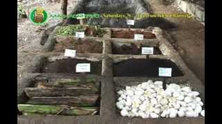 Vermiculture amp Vermicomposting Part 1 [upl. by Polik363]