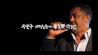 Dawit Melesse  Konjo Bager Lyrics [upl. by Brodench464]