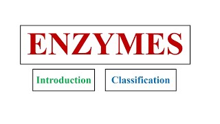 Chapter Enzymes  Enzyme introduction Metabolism and Properties of enzymes [upl. by Aneehsit]