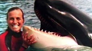 Tilikum  The Terrifying Orca Who KILLED its Trainer Dawn Brancheau [upl. by Ahsinan]