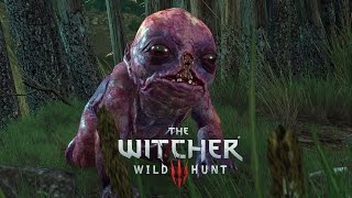 The Witcher 3  Parte 32 El Malogrado Gameplay Español [upl. by Stoat]