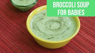 Broccoli soup for 8 Months babies amp Kids  Homemade amp Easy Soup Recipes for babies [upl. by My]