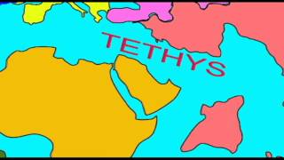 WHALE EVOLUTION THE TETHYS SEAWAYavi [upl. by Flaherty866]