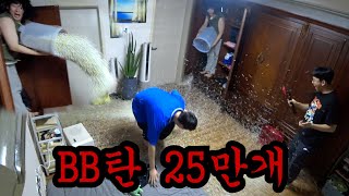 비비탄 250000개로 복수하기ㅋㅋㅋ [upl. by Adihaj797]