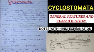 GENERAL FEATURES AND CLASSIFICATION OF CYCLOSTOMATA Hindi explanation ZOOLOGY NOTES vbu mku [upl. by Ainoloppa311]