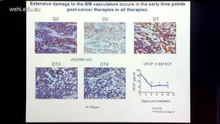 Purton 2015 Regulation of haematopoiesis by microenvironment cells [upl. by Leahplar523]