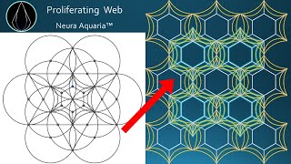 DNA Repair Inspired Geometry [upl. by Lanae392]