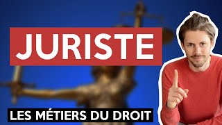 Les Métiers du Droit 5  Juriste dentreprise [upl. by Valiant106]