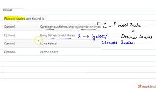 Placoid scales are found is [upl. by Falito]