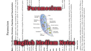 Paramecium  Classification Structure Function Locomotion Nutrition and Reproductiveparamecium [upl. by Costa]