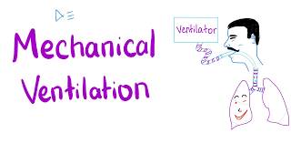 Mechanical Ventilation  Most COMPREHENSIVE Explanation 🤫 [upl. by Atalya]