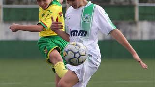 FC S Martinho vs Paços de Ferreira U13 201314 [upl. by Dusza687]