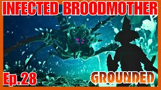 Infected Broodmother Full Guide  Grounded [upl. by French]