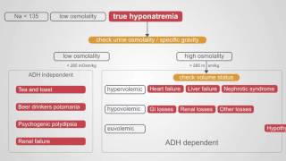 Diagnosing Hyponatremia A Comprehensive Algorithm [upl. by Aihsena740]