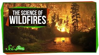 The Science of Wildfires [upl. by Anastas]