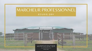 HIPPOCENTER  Le Marcheur Professionnel de lEcurie Dry [upl. by Nuahsel]