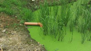 Domestic Constructed Wetlands System in Inishowen [upl. by Landre]